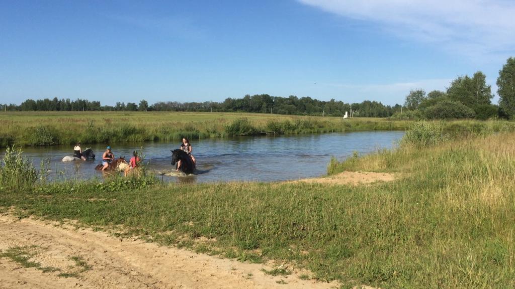 Гостевой дом КФХ Ольгино Blagoveshchenskoye  Экстерьер фото