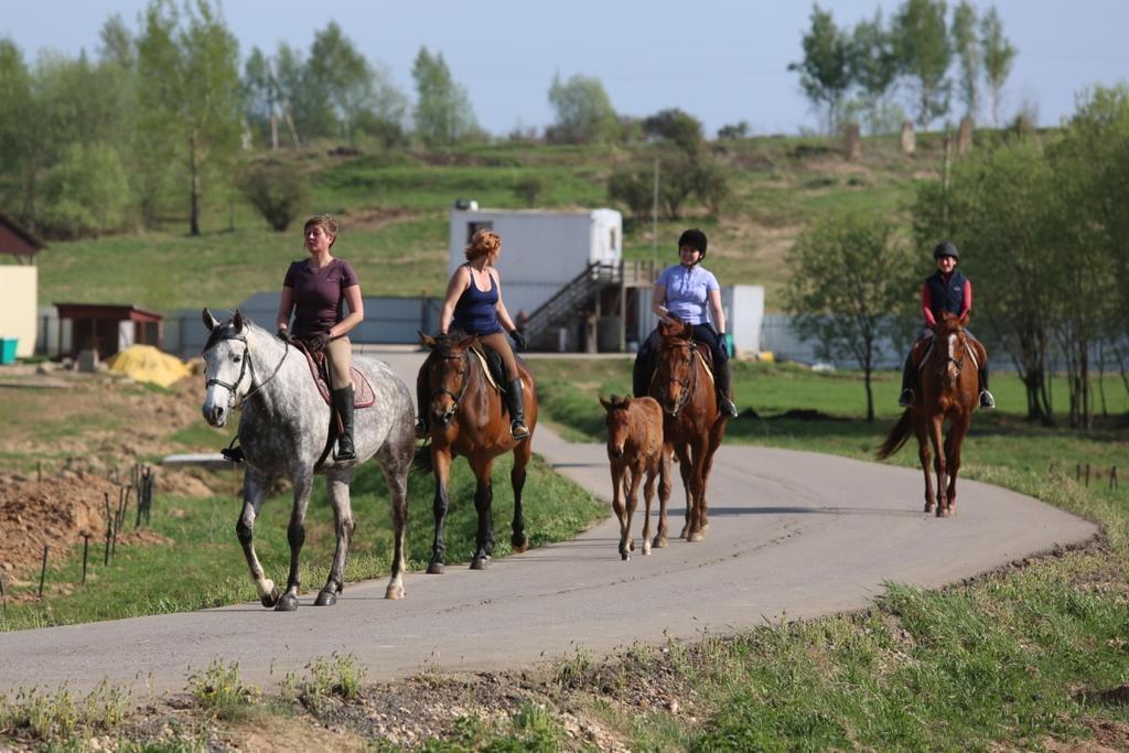 Гостевой дом КФХ Ольгино Blagoveshchenskoye  Экстерьер фото