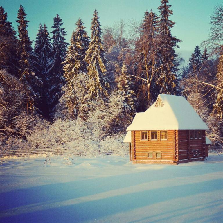 Гостевой дом КФХ Ольгино Blagoveshchenskoye  Экстерьер фото